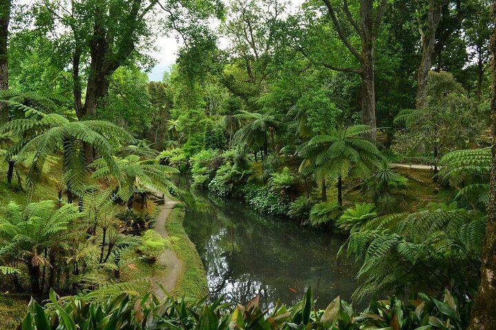 Private Guided Tour to Furnas and thermal baths.