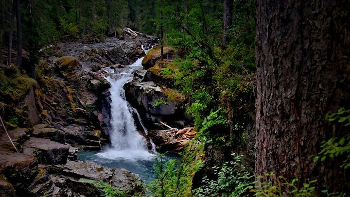 Private Mount Rainier Day Trip from Seattle, Itinerary Set with Your Guide (2/8)