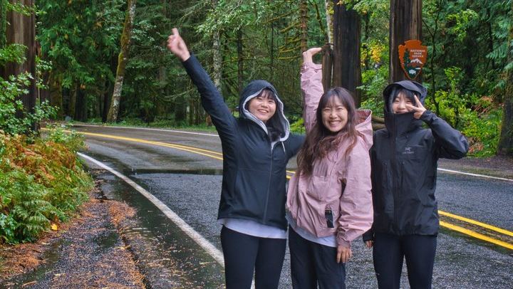 Private Mount Rainier Day Trip from Seattle, Itinerary Set with Your Guide (3/8)