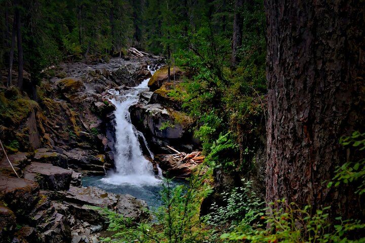 Private Mount Rainier Day Trip from Seattle, Itinerary Set with Your Guide (2/8)