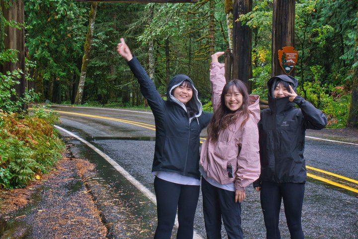 Private Mount Rainier Day Trip from Seattle, Itinerary Set with Your Guide (3/8)