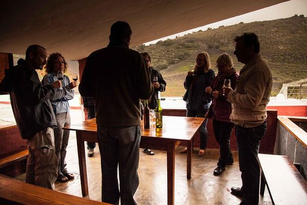 Bandama Caldera, Spain's Largest Botanical Garden and Bodega San Juan