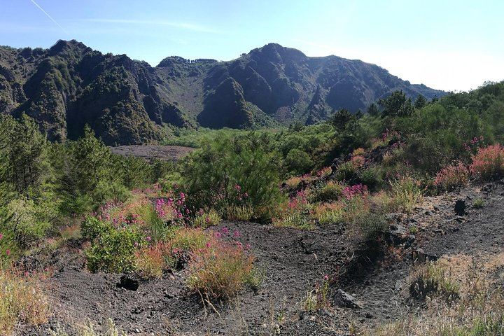 Private Tour: Herculaneum - Pompeii - Vesuvius with pickup