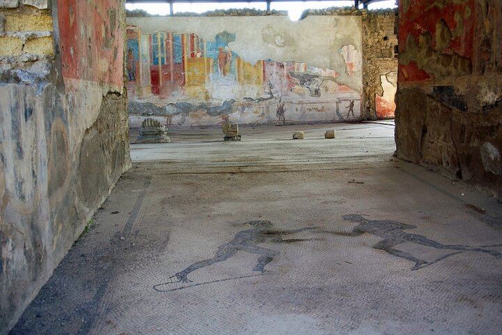 Day Trip to Pompeii, Herculaneum and Vesuvius from Naples