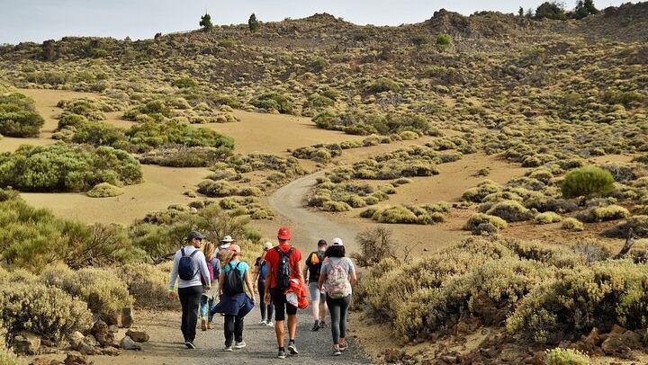 PRIVATE TOUR Teide National Park: Hiking and Stargazing
