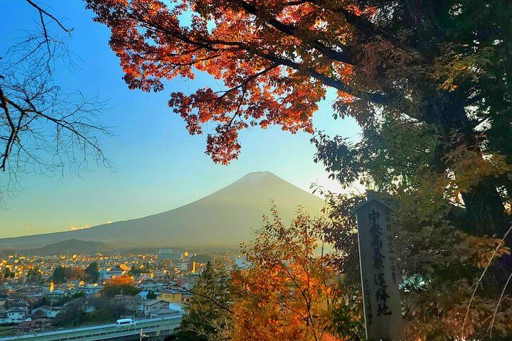 Private Tour to Mt. Fuji and Hakone (Fully Licensed Operator)