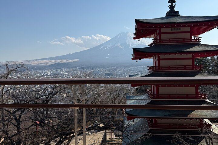 Private Tour to Mt. Fuji and Hakone (Fully Licensed Operator)