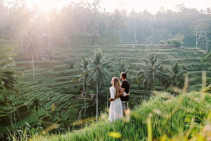 Private Tour: Waterfall, Kintamani Volcano, Ubud Tour with Lunch