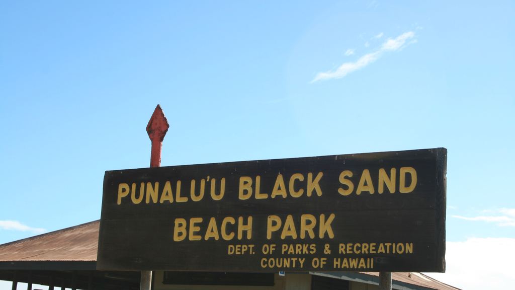 Black basalt sand and coconut palms at Punaluʻu beach, Big Island of Hawaiʻi