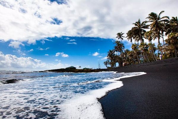 Punalu'u Black Sand and the Honu, with Hilo and a Self-Guided Park Explorer