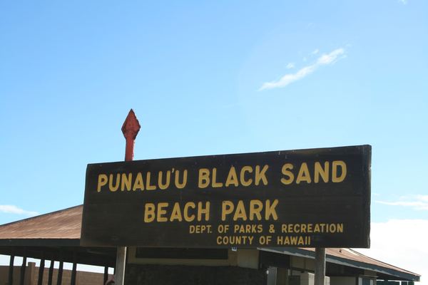 Cruise Shore Excursions