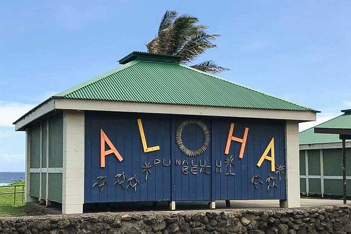 Punalu’u Black Sand Beach Tour - Volcanoes National Park & Hilo