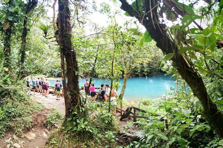 RAINFOREST