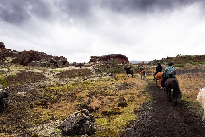 Red Lava Horse Riding Tour From Reykjavik