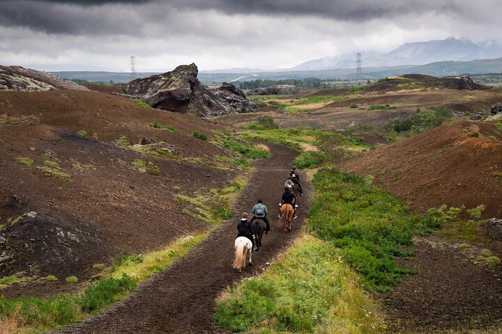 Red Lava Horse Riding Tour From Reykjavik