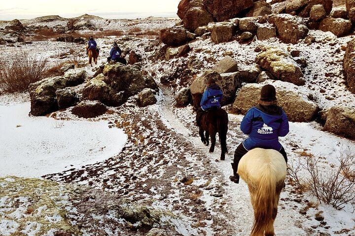Red Lava Horse Riding Tour From Reykjavik