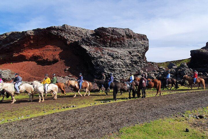 Red Lava Horse Riding Tour From Reykjavik