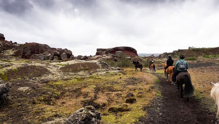 Red Lava Horse Riding Tour From Reykjavik