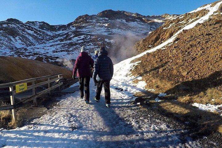 Reykjanes Peninsula Private Day Tour - up to 9 passengers
