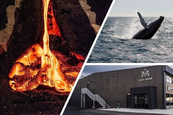 Whale Watching and Lava Show: Real Lava from the 1918 Katla Eruption