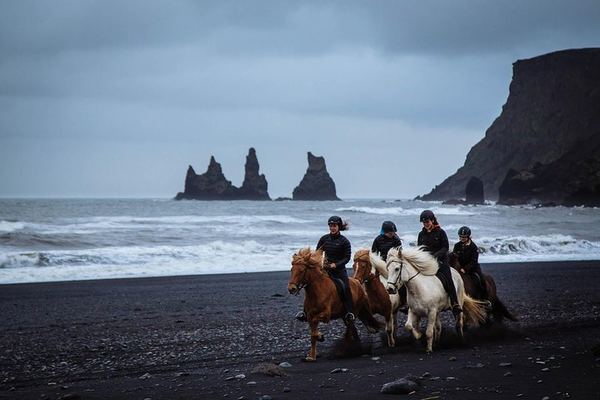 An Hour on the Black Sand at Vík, on an Icelandic Horse