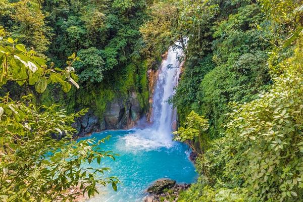 Rio Celeste Full-Day Hike from La Fortuna: Waterfall, Lookout and the Colour Change