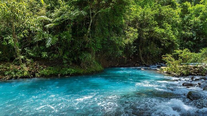 Rio Celeste & Tenorio Volcano Hike - Blue River Adventure