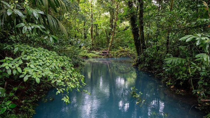 Rio Celeste & Tenorio Volcano Hike - Blue River Adventure