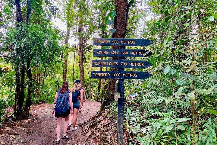 Rio Celeste & Tenorio Volcano Hike - Blue River Adventure