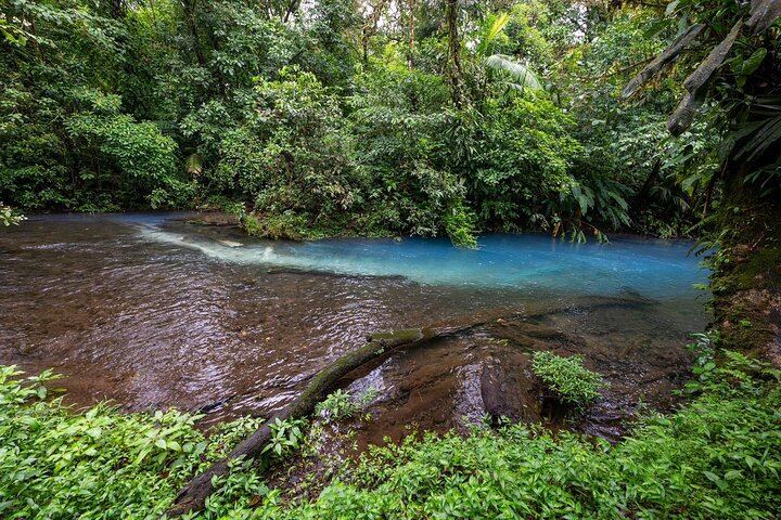 Rio Celeste & Tenorio Volcano Hike - Blue River Adventure