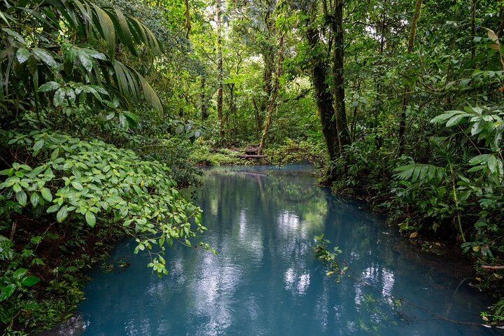 Rio Celeste & Tenorio Volcano Hike - Blue River Adventure