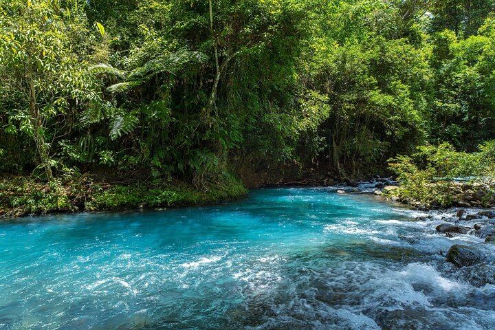 Rio Celeste & Tenorio Volcano Hike - Blue River Adventure