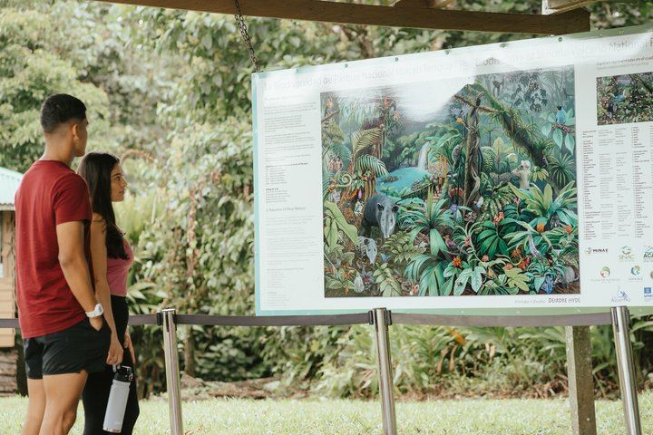 Rio Celeste waterfall and slothland excursion