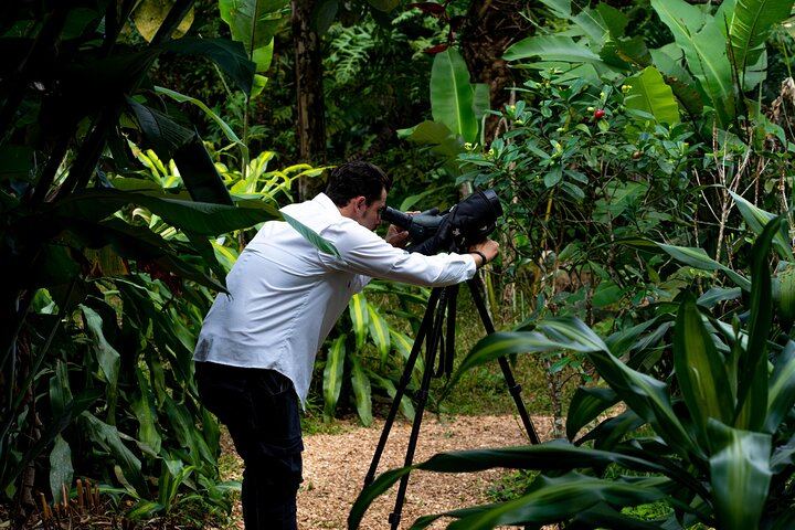 Rio Celeste waterfall and slothland excursion