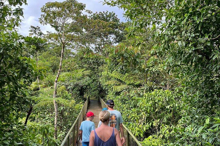 Rio Celeste Waterfall Plus Sloths and wildlife Sanctuary