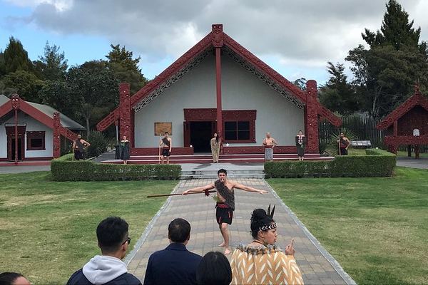 Te Puia and Pōhutu Geyser from Tauranga: Haka, the Carving School and a Kiwi House