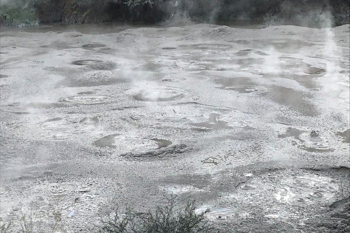 Rotorua Cultural and Geothermal Wonderland Tour – Depart Tauranga