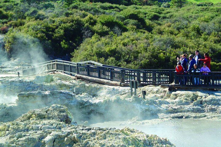 ROTORUA - Hell's Gate Geothermal Park & Mud Spa Day Trip