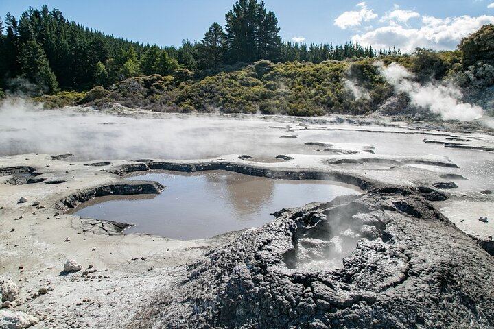 ROTORUA - Hell's Gate Geothermal Park & Mud Spa Day Trip