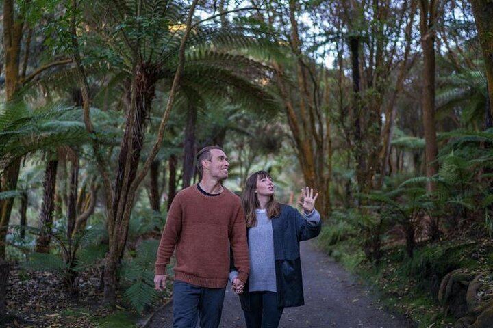 ROTORUA - Hell's Gate Geothermal Park & Mud Spa Day Trip