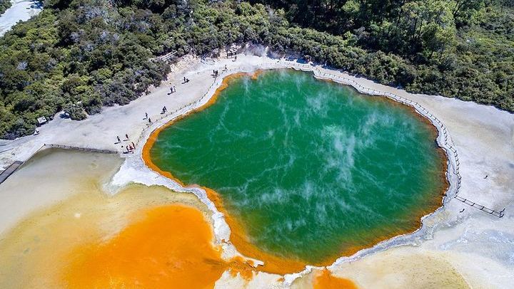 Rotorua Highlights Tour: Waiotapu, Te Puia & Lunch from Auckland