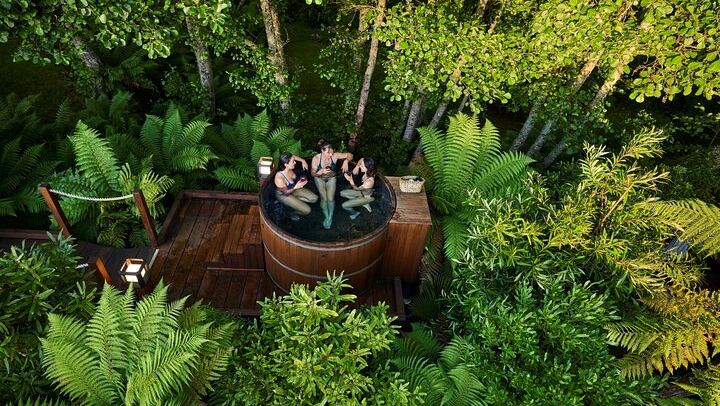 Rotorua Highlights Tour: Waiotapu, Hot Tubs & Lunch from Auckland