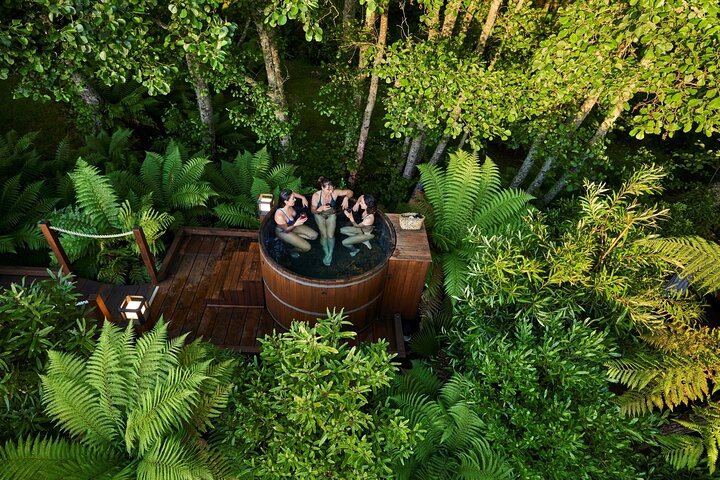 Rotorua Highlights Tour: Waiotapu, Hot Tubs & Lunch from Auckland