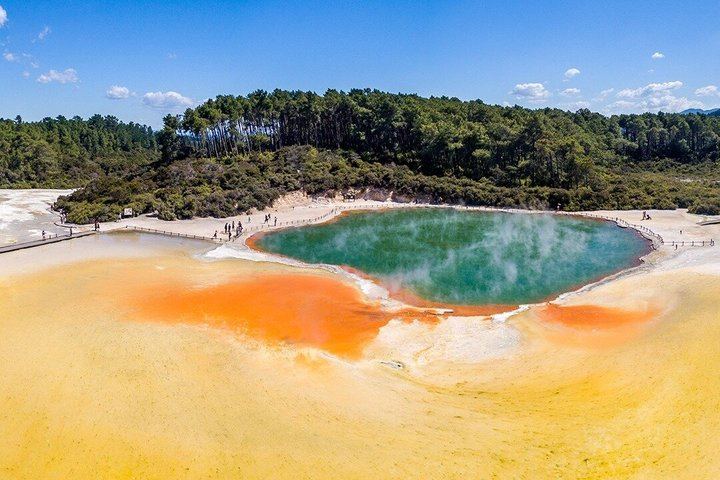 Rotorua Highlights Tour: Waiotapu, Hot Tubs & Lunch from Auckland