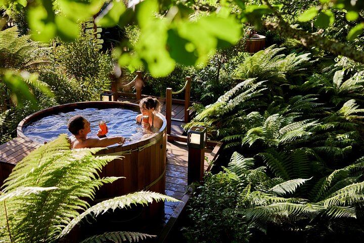 Rotorua Highlights Tour: Waiotapu, Hot Tubs & Lunch from Auckland