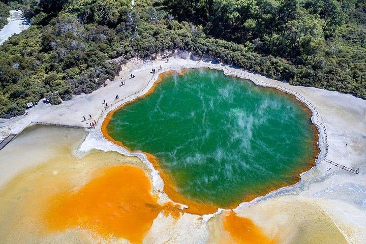 Rotorua Highlights Tour: Waiotapu, Te Puia & Lunch from Auckland