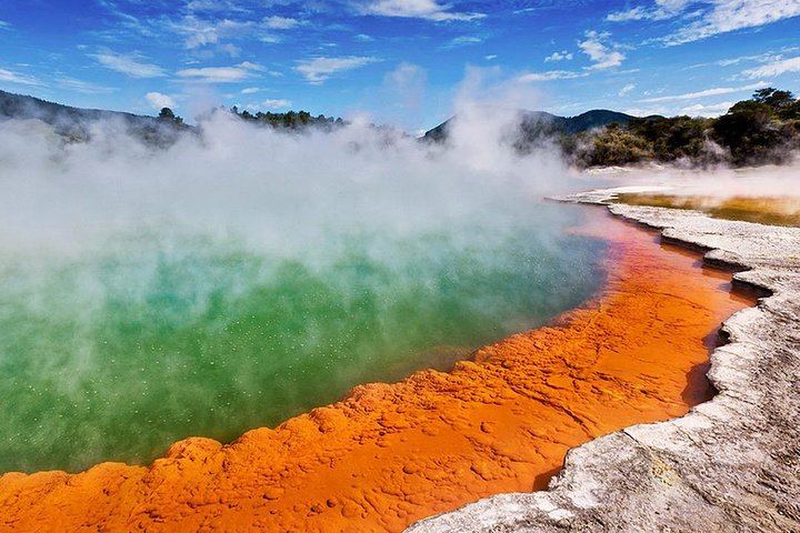 Rotorua Highlights Tour: Waiotapu, Te Puia & Lunch from Auckland