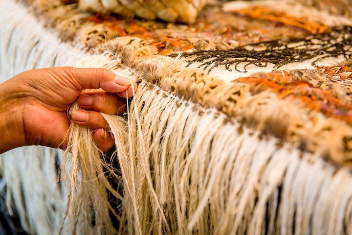 Rotorua Highlights Tour: Waiotapu, Te Puia & Lunch from Auckland