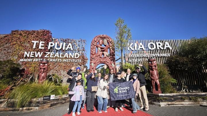 Rotorua Highlights Tour: Waiotapu, Te Puia & Lunch from Auckland