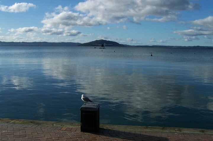 Rotorua Lakefront